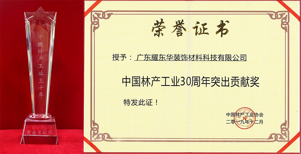 突出贡献奖1.jpg